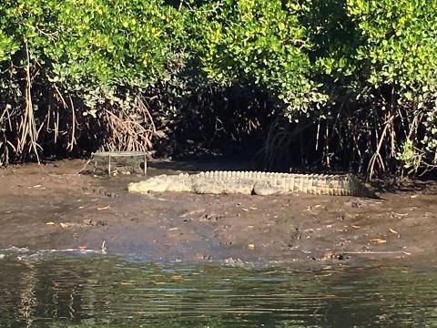 hinchinbrook channel